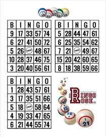 1000 FREE Bingo Cards